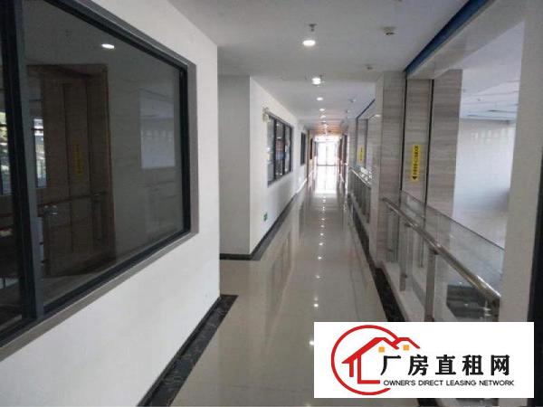  大朗镇环境优美工业园新出一楼1000平方，豪华装修