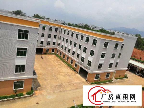  大朗镇环境优美工业园新出一楼1000平方，豪华装修
