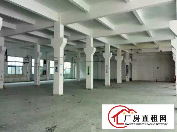  大朗镇环境优美工业园新出一楼1000平方，豪华装修