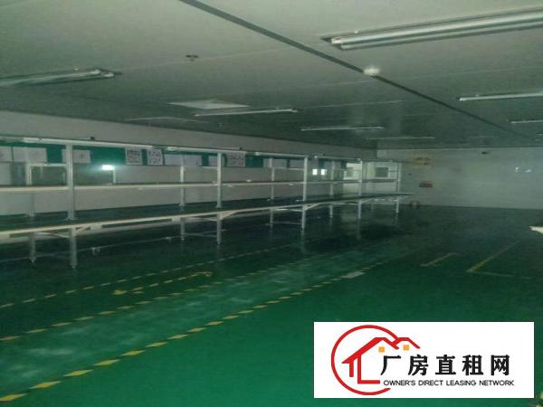  大朗镇新出十万级无尘车间厂房出租