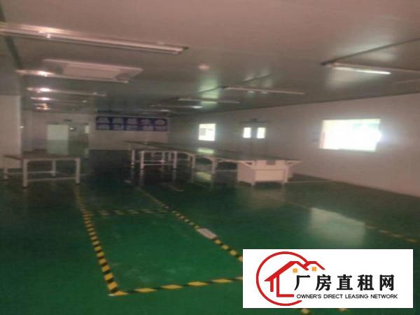  大朗镇新出十万级无尘车间厂房出租