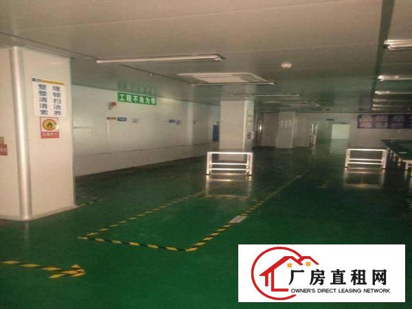  大朗镇新出十万级无尘车间厂房出租