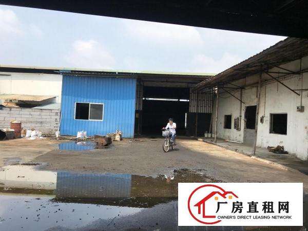  出租大朗屏山单一层钢构厂房1200平适合各行各业可办环评