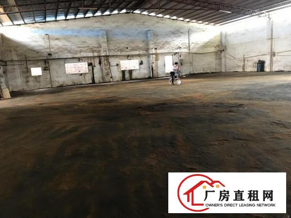  出租大朗屏山单一层钢构厂房1200平适合各行各业可办环评