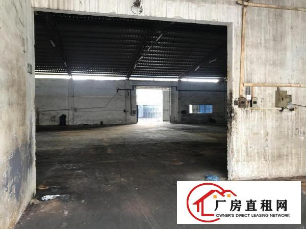  出租大朗屏山单一层钢构厂房1200平适合各行各业可办环评