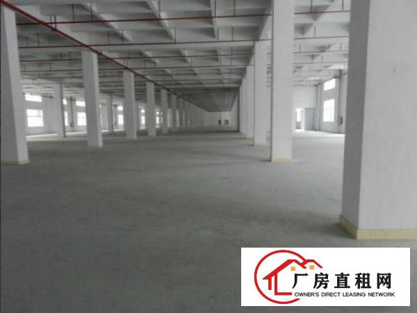  一手房东花园式独院厂房7800平方招租有独立办公楼水电到位