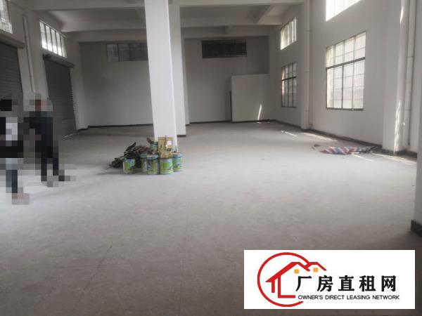  一楼300平方，大朗水平新出独栋厂房分租，高6米，现成装修