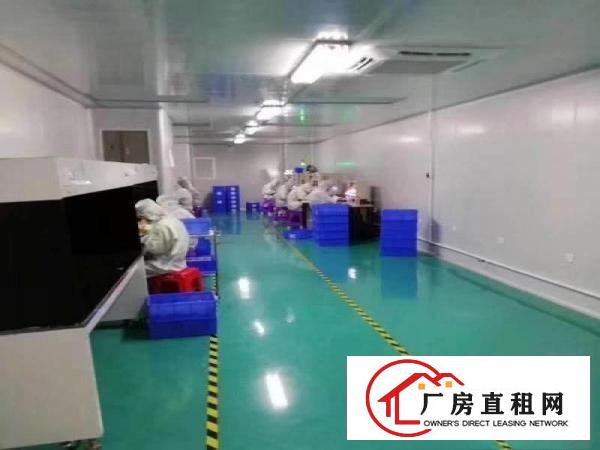  东莞市大朗镇1200平无尘车间厂房出租适合口罩