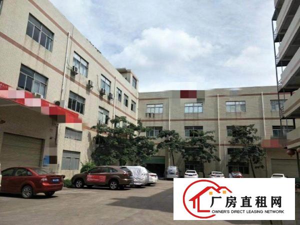  大朗新马莲工业园新出一楼350方，带装修，水电齐全