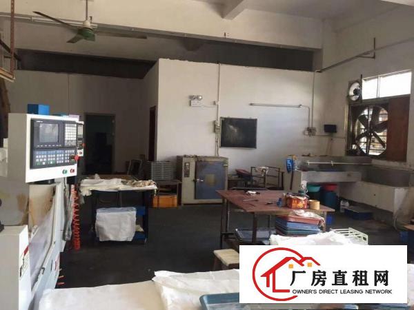  大朗新马莲工业园新出一楼350方，带装修，水电齐全