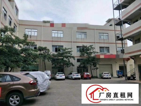  大朗新马莲工业园新出一楼350方，带装修，水电齐全