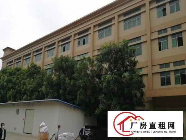  主干道豪华环境3600平出租