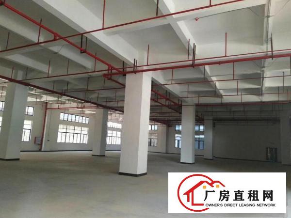  大朗原房东厂房分租给钱就租