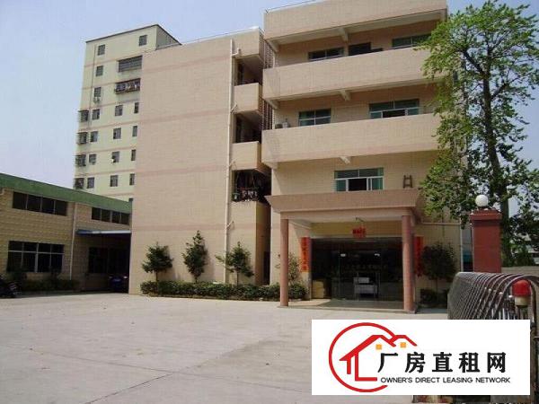  单一层独院厂房3340平，大朗（原房东）带独栋办公楼，可分租
