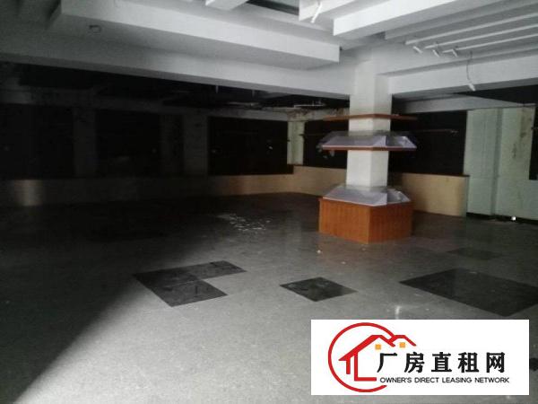  大朗象山工业城原房东可分租楼上二楼1500方15元，带装修