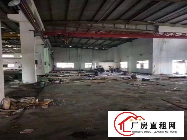  大朗洋坑塘工业区独院单一层1600平8米高钢构出租，水电齐全