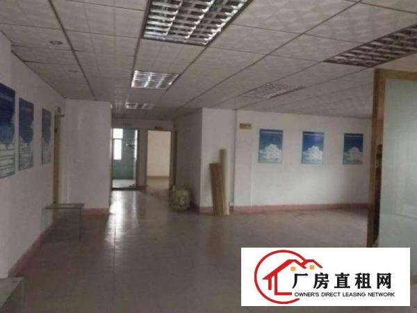  可办环评，大朗新出单一层钢构2500方，可分租，空地大