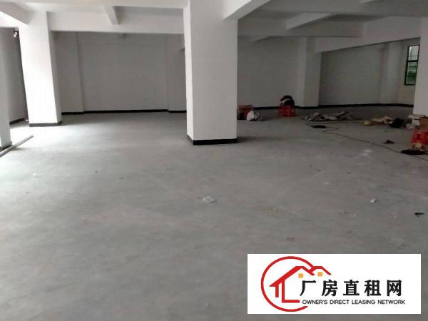  东莞大朗三楼单层1680平方全新厂房出租可以分租