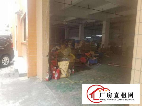  大朗水口新出标准一楼500方，价格超便宜带装修可办环评