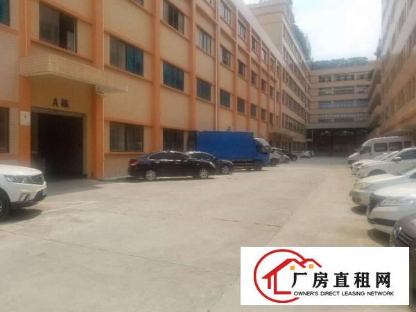  大朗水口新出标准一楼500方，价格超便宜带装修可办环评