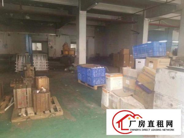  大朗水口新出标准一楼500方，价格超便宜带装修可办环评