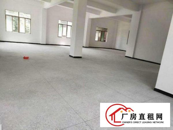  近大路边大朗求富路独栋400平方小厂房可做各种小加工