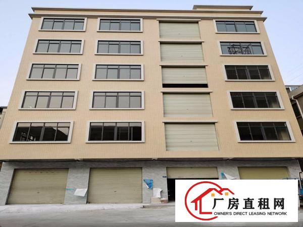  租金10元起大朗求富路1~6层小厂房可做电子毛织办公