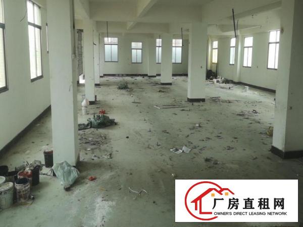  楼上500平，大朗松柏朗独栋厂房分租，带电梯，现成办公室装修