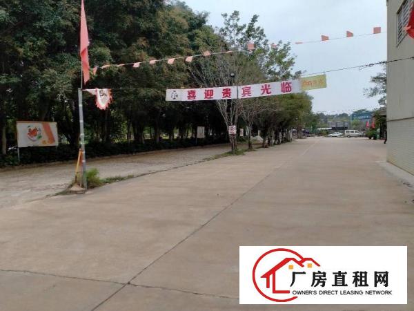  东莞大朗洋坑塘原房东独院单层钢构厂房1900平方出租可办环评