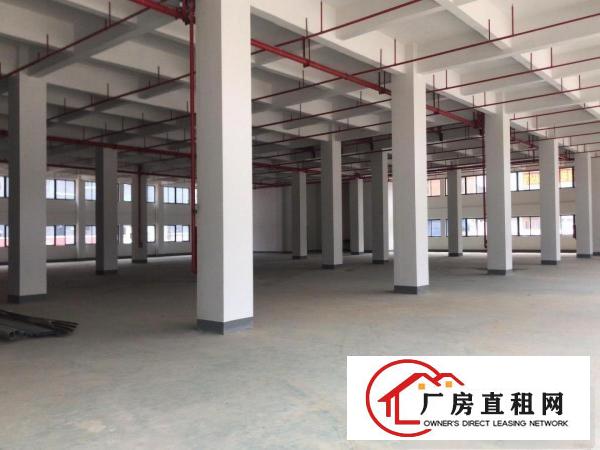  可办环评）大朗全新标准工业园厂房3800平每层，带消防喷淋