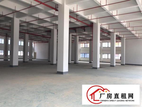  可办环评）大朗全新标准工业园厂房3800平每层，带消防喷淋