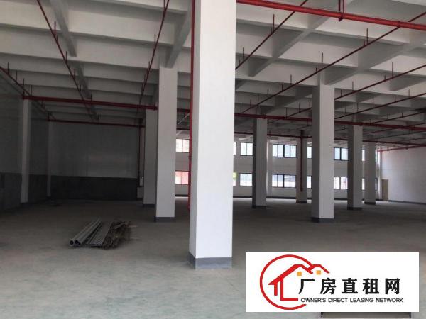  可办环评）大朗全新标准工业园厂房3800平每层，带消防喷淋