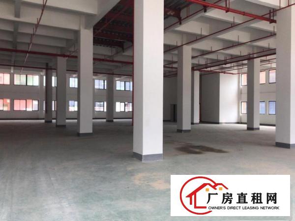  可办环评）大朗全新标准工业园厂房3800平每层，带消防喷淋