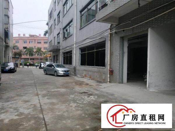 东莞市大朗镇汽车站附近原房东一搂900平方便宜出租