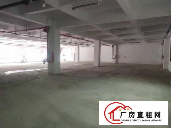  东莞市大朗镇汽车站附近原房东一搂900平方便宜出租