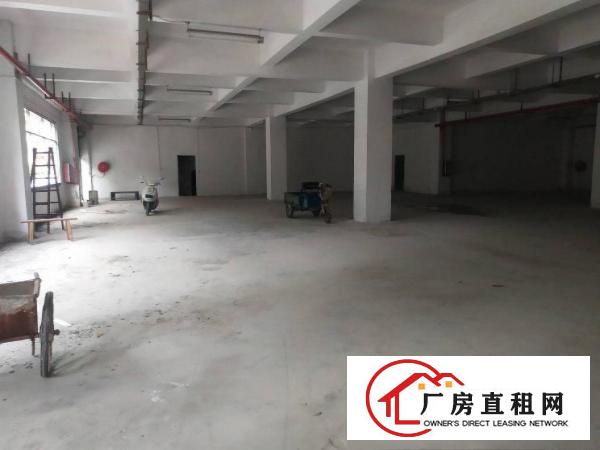  东莞市大朗镇汽车站附近原房东一搂900平方便宜出租