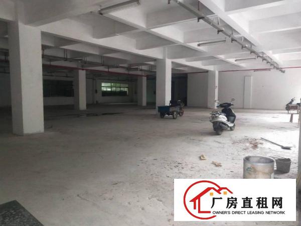  东莞市大朗镇汽车站附近原房东一搂900平方便宜出租