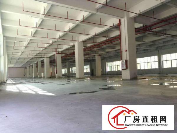  大朗新出6米高可分租整租，招工方便交通方便租15元