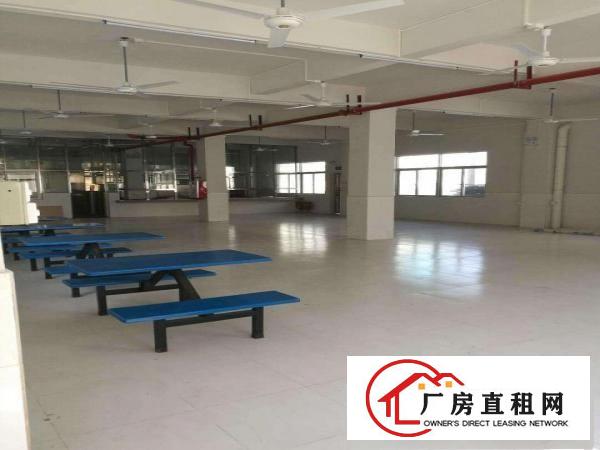  大朗新出6米高可分租整租，招工方便交通方便租15元