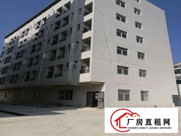 大朗新出6米高可分租整租，招工方便交通方便租15元