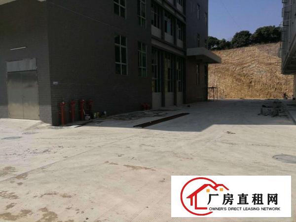  大朗新出6米高可分租整租，招工方便交通方便租15元