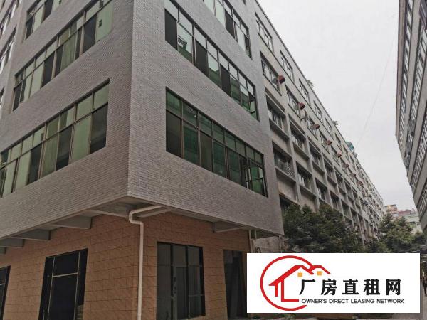  大朗中心原房东招租适合用于仓库