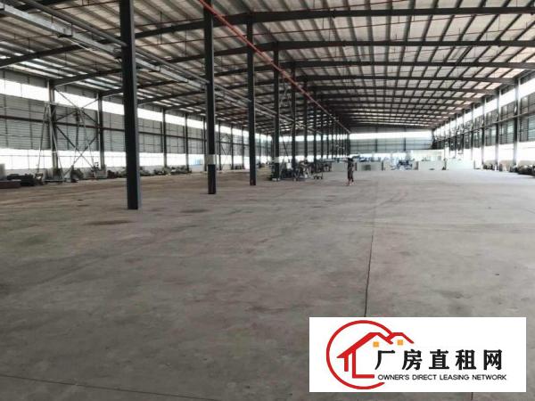 独院，空地6000方，大朗单一层滴水十米钢结构9600方招租