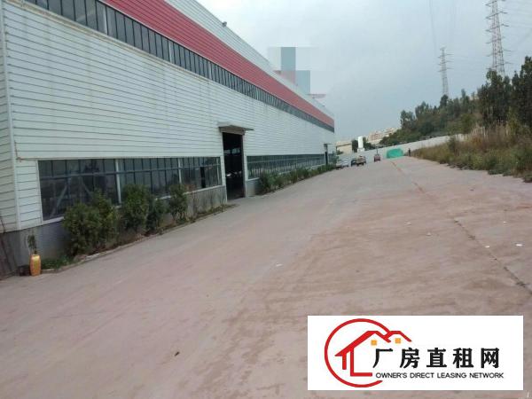  独院，空地6000方，大朗单一层滴水十米钢结构9600方招租