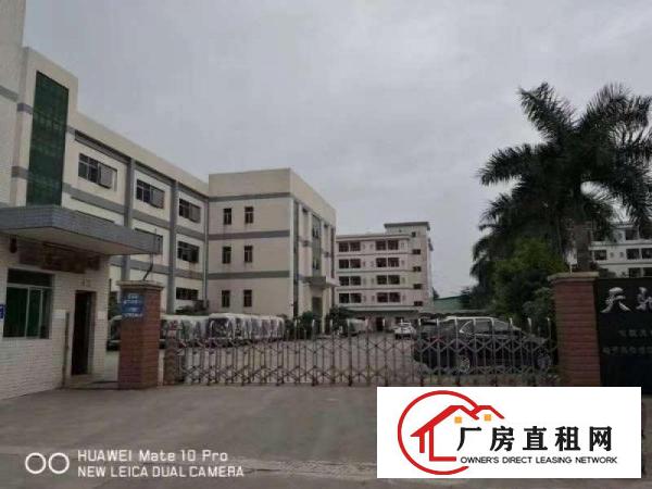  大朗松木山新出高新园区一二楼共2400方，可分租