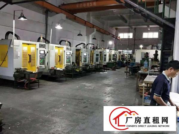  大朗松木山新出高新园区一二楼共2400方，可分租