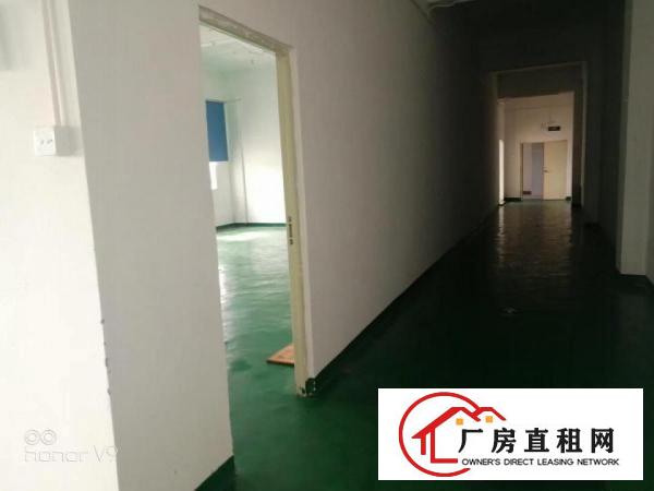  有装修，可分租!!!大朗水平村新出一楼800方，16元
