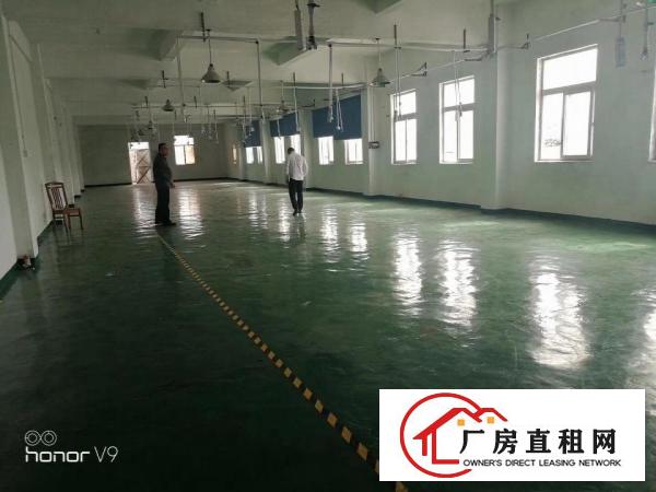  有装修，可分租!!!大朗水平村新出一楼800方，16元