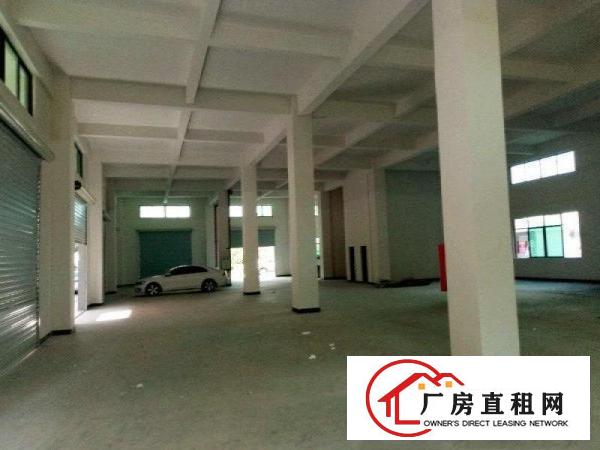  带阁楼大朗佛新独栋民房一楼350平方厂房原房东直招