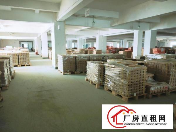  东坑成熟工业区标准厂房800平，带现成办公室地坪漆及消防喷淋